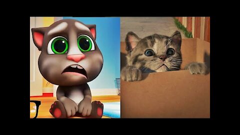 El Gato en la VIDA REAL, Little kitten - My favorite cat, My Talking Tom 2