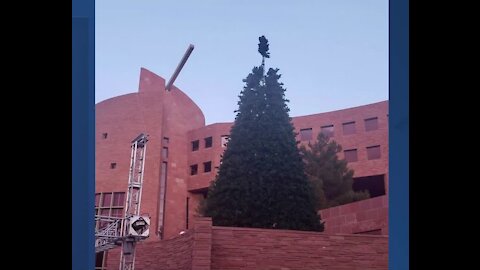 Christmas tree at Government Center lights up the sky