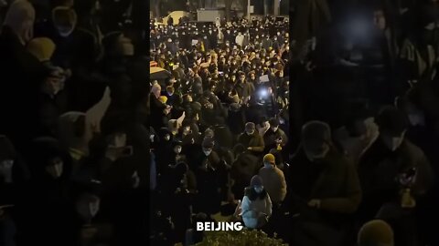 A Huge Crowd In Beijing Protesting Tyrannical COVID Lockdowns