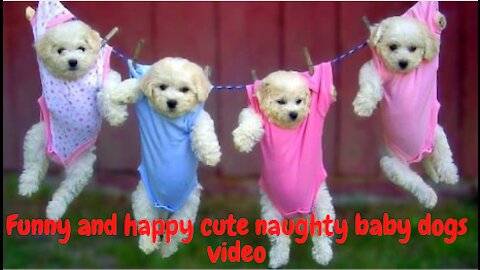 #Funny_and_happy_cute_naughty_baby_dogs #puppies_playing_with_babies #