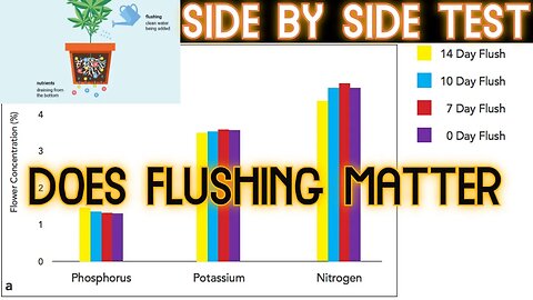 Should You Flush Before Harvest? Lab testing my Side by Side! Athena vs Mills Nutrient- Day 58 Bloom