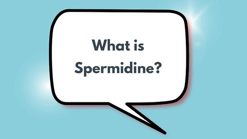 What is spermidine?