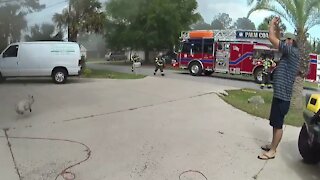 Brave Deputy rescues dog from house fire