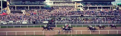 Horseracing uk #newcastle Races #newmarket #curragh