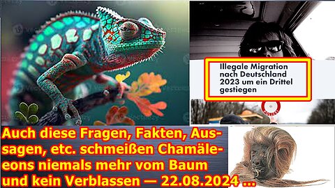 Auch diese Fragen, Fakten, Aussagen, etc. schmeißen Chamäleons niemals mehr vom Baum — 22.08.24 ...