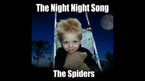 The Night Night Song - The Spiders