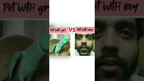 Pet with girl Vs Pet with boy #shorts #viral #viralshorts #trendingshorts #trending #girl #boy