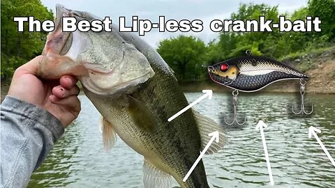 Lure Talk: Big Bass LOVE the Berkley Warpig!