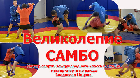 Sambo wrestling movies. Великолепие самбо. Интернет школа самбо