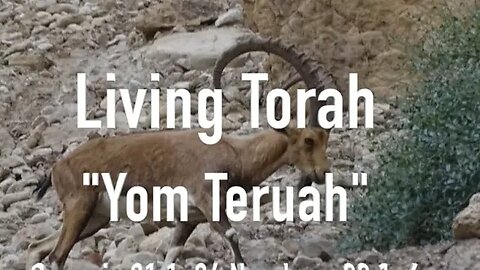 "Yom Teruah"