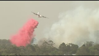 Australian bushfire emergency at South Turramurra