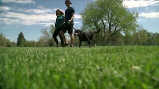 Colorado mom-to-be raising awareness about ovarian cancer years after her own diagnosis