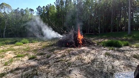 Unbelievable! Fire, Seeds and Lightning - What's the Connection?