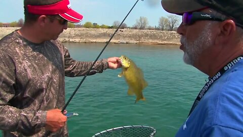 Lake Erie Bass in Buffalo, NY