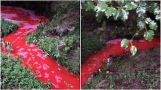 USA: l'inquinamento rende rosso il fiume