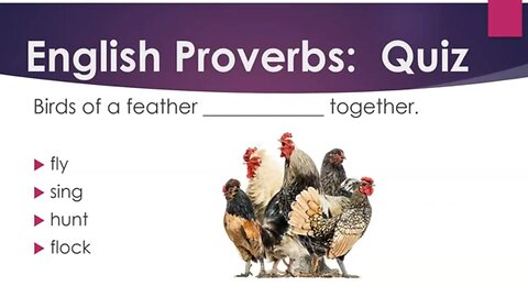 English Proverbs and Idioms: Test Your Skills (B1)