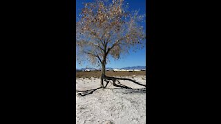 White Sands National Park & Silver Bar