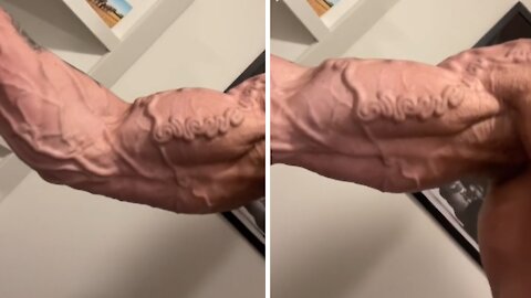 Bodybuilder has mind-blowing shape to his veins