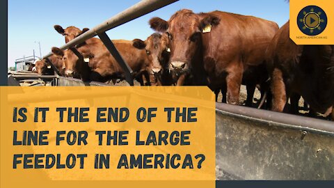 Is it the end of the line for the large feedlot in America?