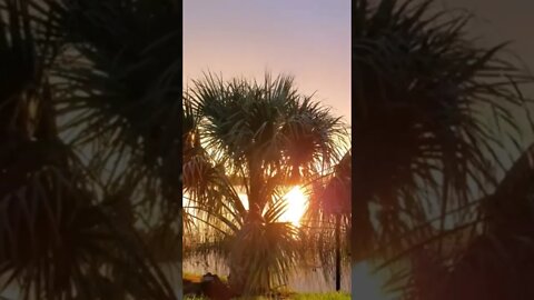 Lake Underhill Sunset Time-Lapse! #shorts