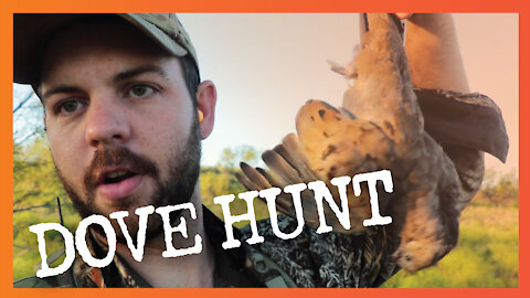 Dove Hunting & Camping Adventure!