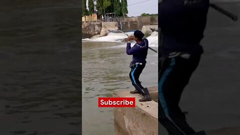 Perlawanan ikan patin monster 65Kg