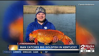 Man catches big goldfish in Kentucky