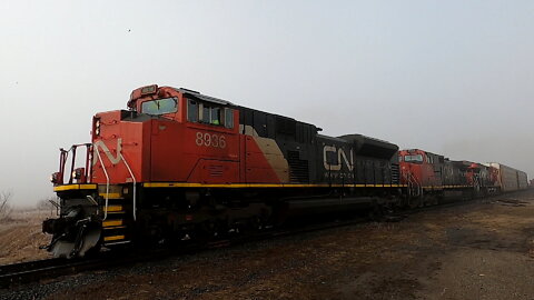 CN 8936 CN 2595 & CN 3187 Locomotives Manifest Train Eastbound In Ontario