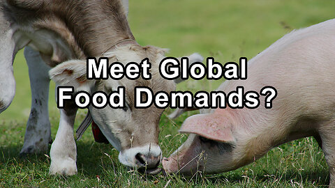 Do We Need Animal Agriculture To Meet Global Food Demands? - Hope Bohanec