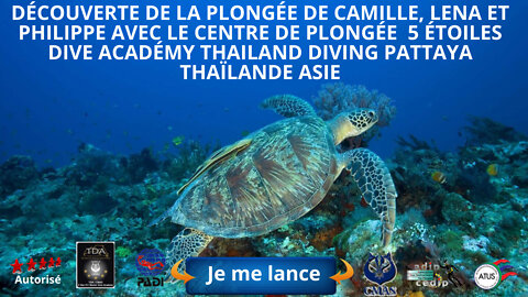 🐢 découverte de la plongée de Camille, Lena et Philippe