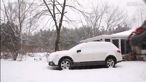 Jovem usa paramotor para limpar a neve