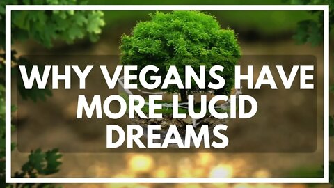 Go Vegan to Lucid Dream More?!