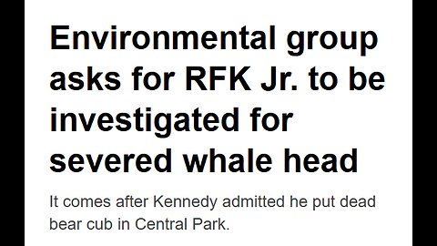 AUTHORITIES ASKED TO INVESTIGATE BOBBY KENNEDY FOR CUTTING OFF DEAD WHALE'S HEAD