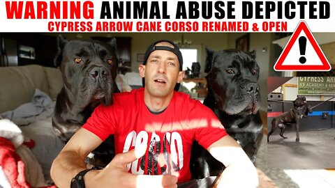 WARNING ANIMAL ABUSE Update Cypress Arrow Cane Corso