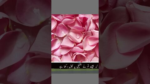 #Best Urdu shayari Ahmad faraz, #Best emotionell Urdu Shayari,#Best Urdu Shayari for Love