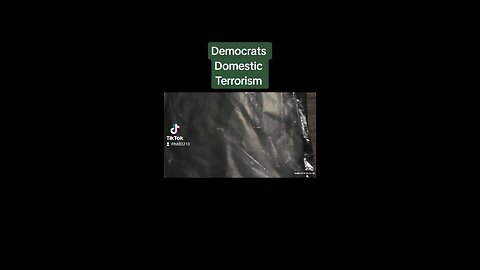 Democrats Domestic terrorism