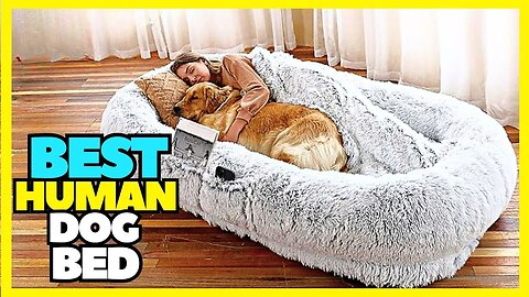 Best Human Dog Bed On Amazon 2023 Best Beds For Large Dogs