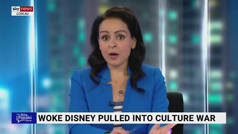 Disney has 'gone completely woke'