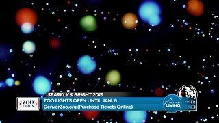 Denver Zoo Lights Until January 6th