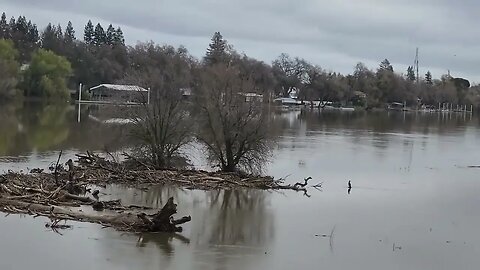 The Currant Sacramento River Level Northwest Of The City Of Sacramento...