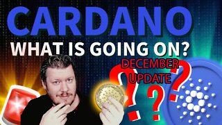 Cardano ADA What Is Going On?