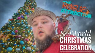 It's Christmas Time At SeaWorld Orlando