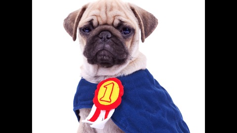 Pets Become Superheroes