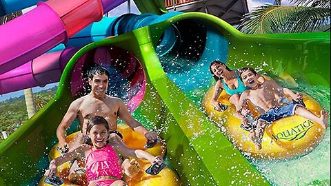 Huge Brawl at Aquatica Orlando after hundreds of Black kids descend on theme park.