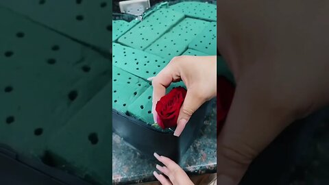 Huge Flowerbox of Roses tiktok misspao3