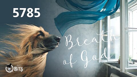 #925 // BREATH OF GOD 5785 - LIVE