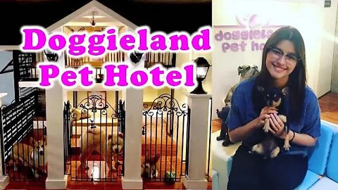 Doggieland Pet Hotel in Pasig City