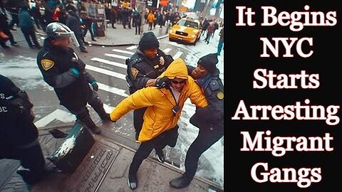 It Begins… NYC Starts Arresting Migrant Gangs