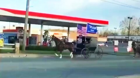 Even The Amish Love Trump!!! How Do You Like This Trump Train??? #trump2024 #trump #maga #trumptrain