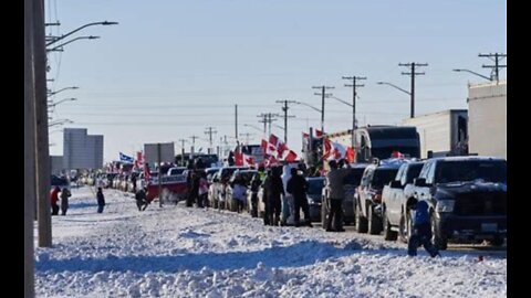 MSNBC Host Calls Historic Canadian Trucker Convoy a “Cult”